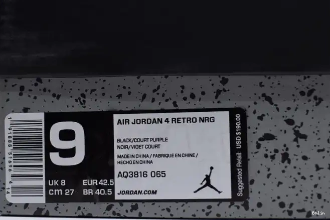Bmlin Air Retro Jordan AQ3816-065 Raptors